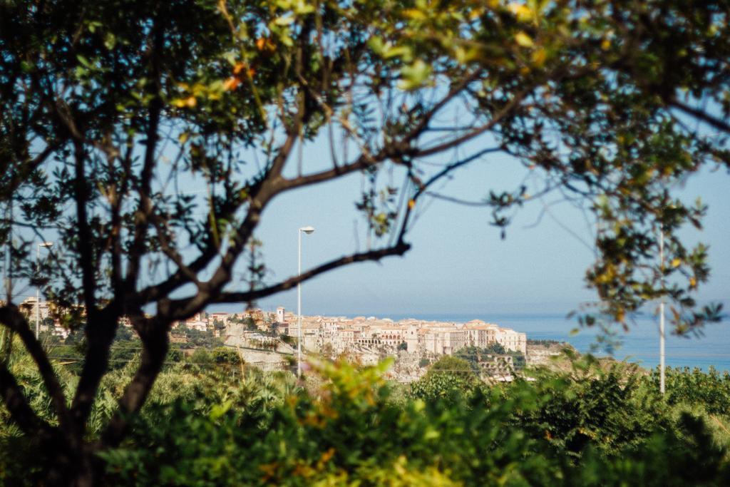Villino Eleonora Bed & Breakfast Parghelia Exterior photo